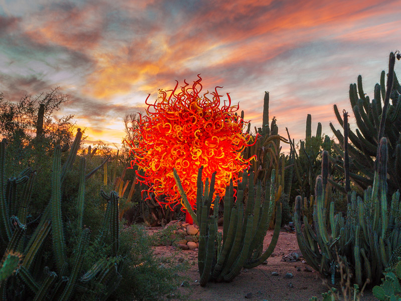 DBG_Chihuly-Header