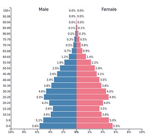 Mongolian population pyramid