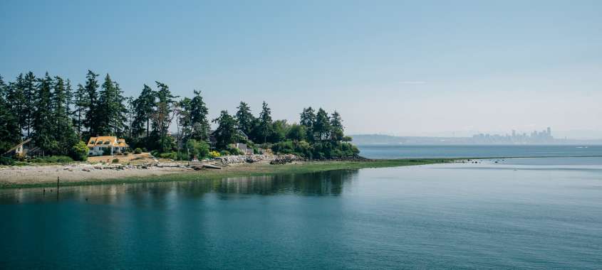 Bainbridge