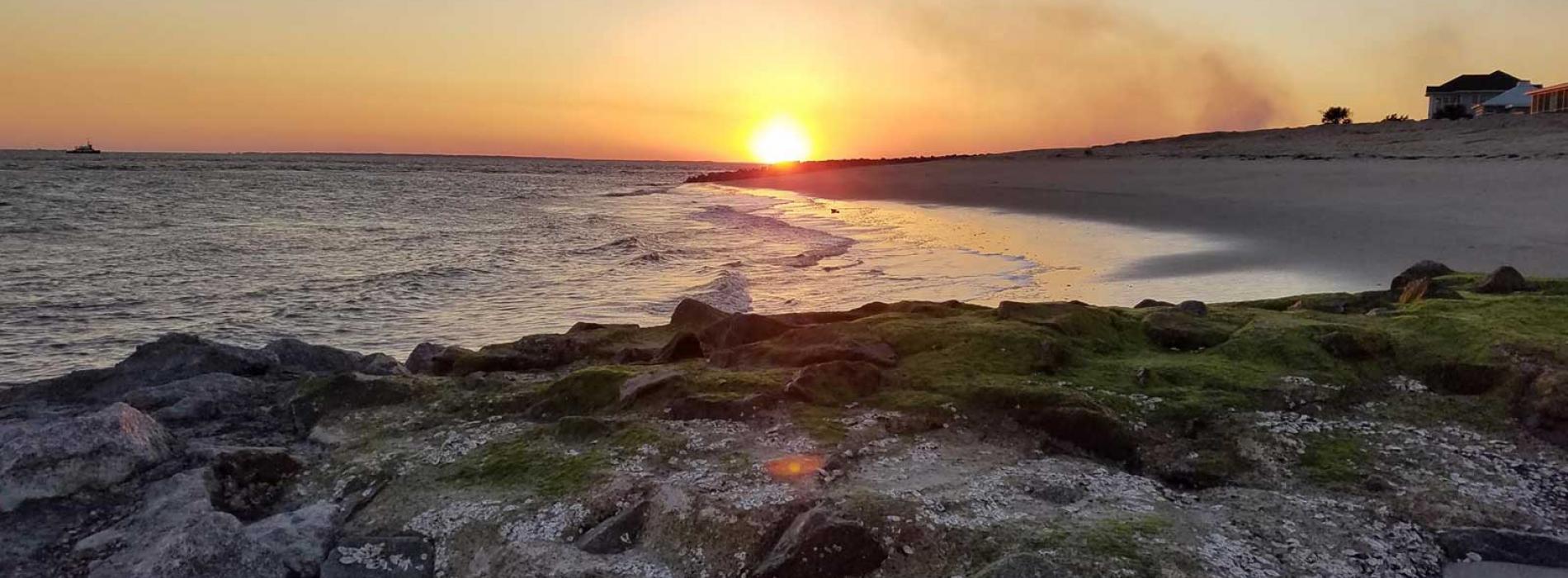 edisto