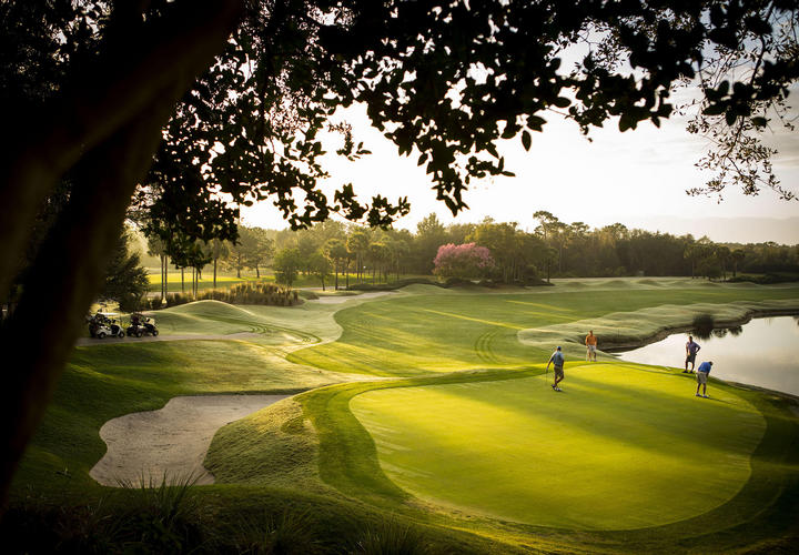 grand cypress