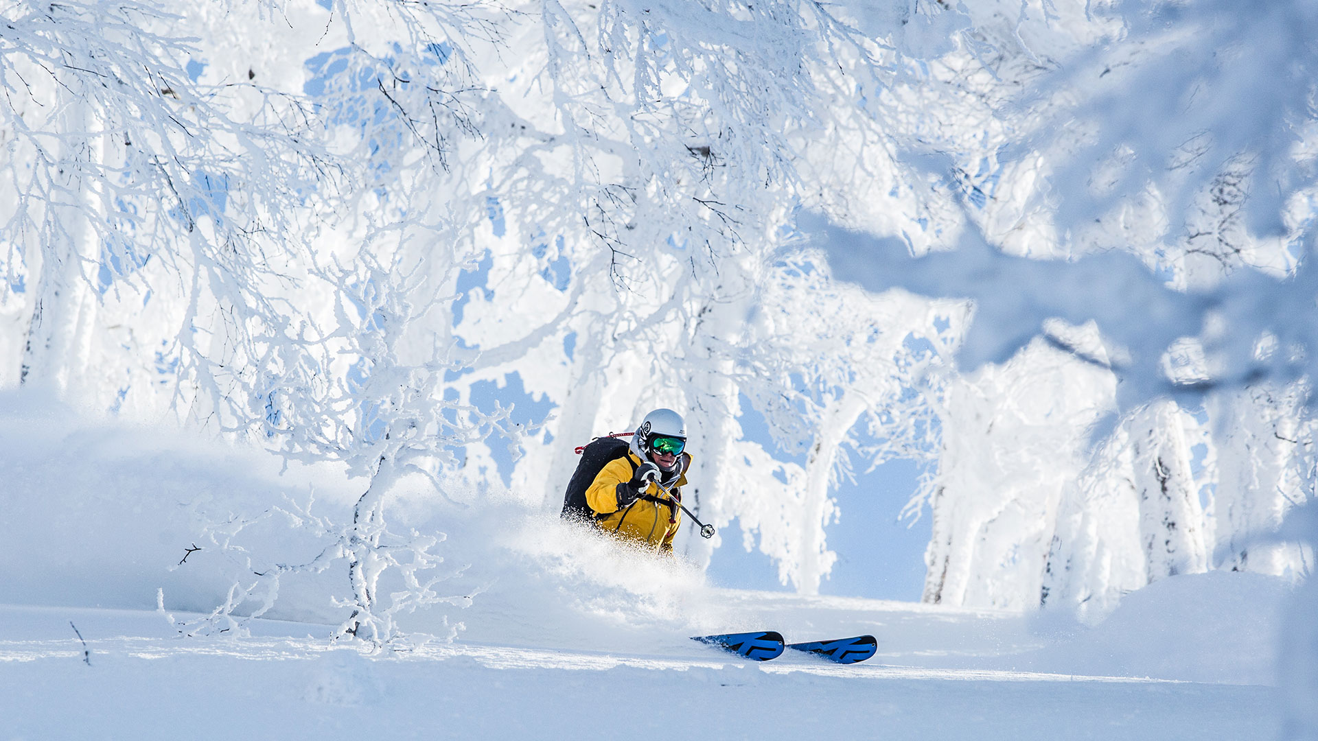 skier