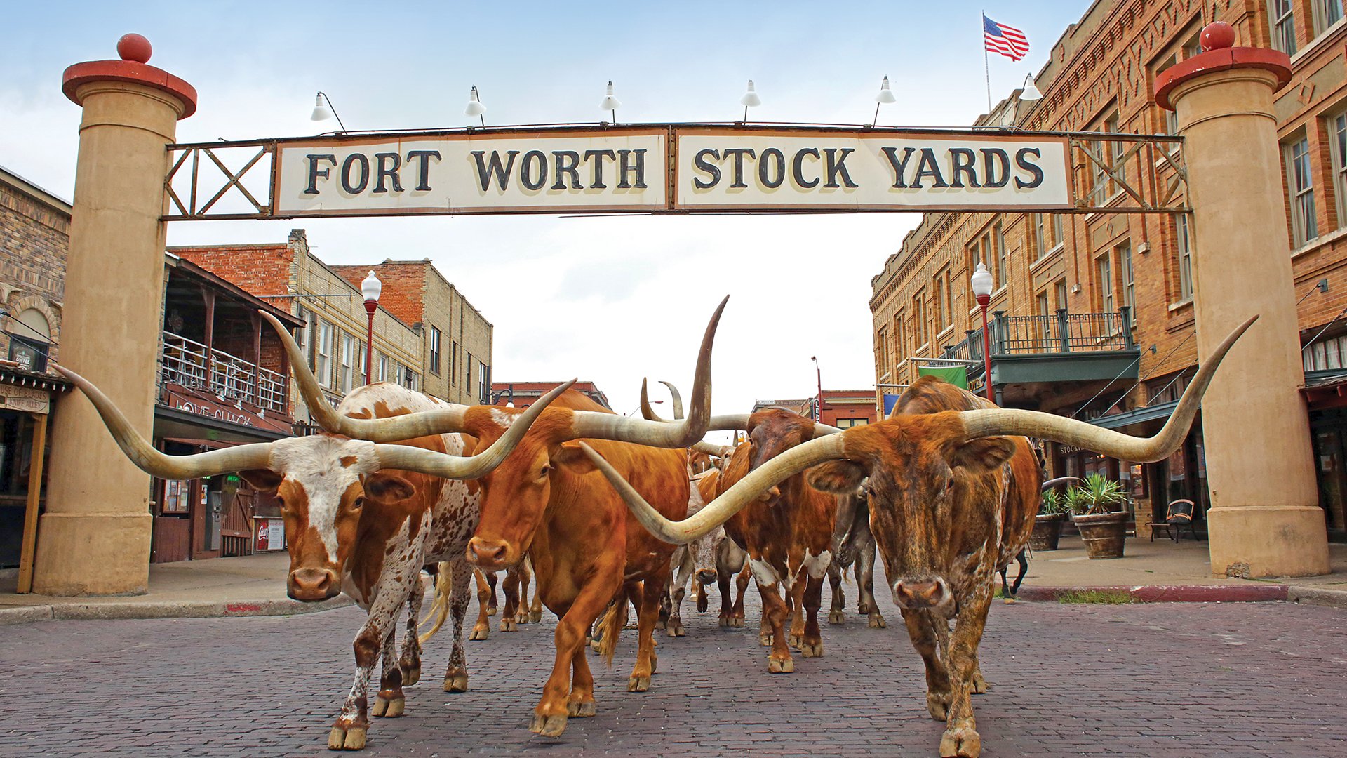 stockyards